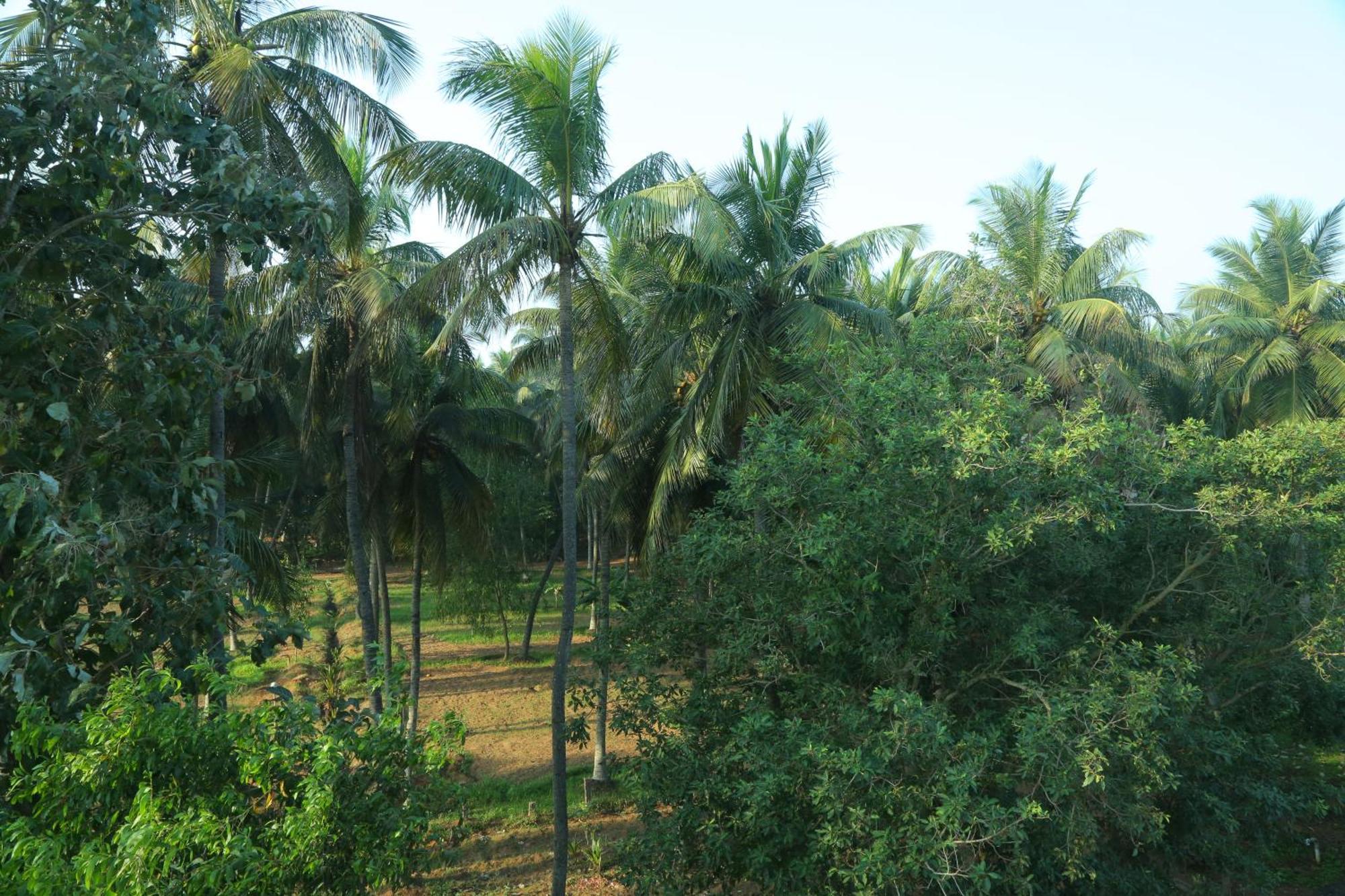 Misty Ocean - A Bergamont Group Of Hotel Kuilapalayam Ngoại thất bức ảnh